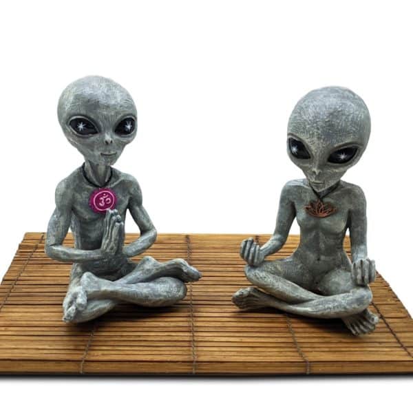 Alien Invasion™ - "Zen & Yoga" 10" H Scale Meditating Alien Couple - Alien Gray